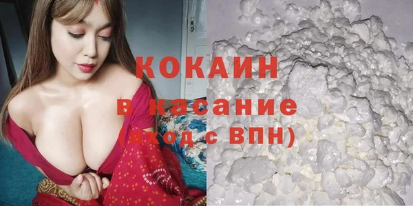 прущие грибы Кукмор