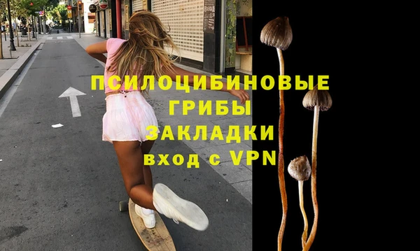 прущие грибы Кукмор
