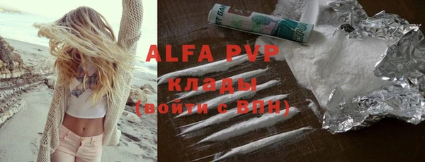 прущие грибы Кукмор
