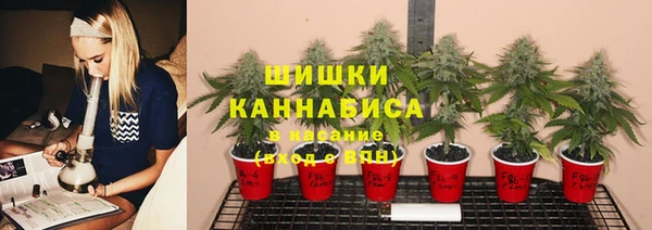 прущие грибы Кукмор