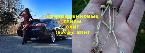 прущие крисы Кулебаки