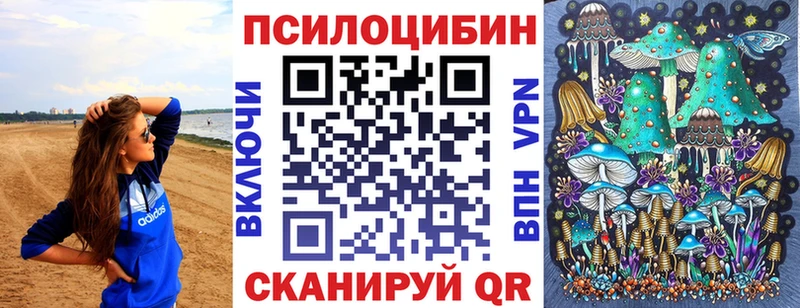 Галлюциногенные грибы MAGIC MUSHROOMS  KRAKEN зеркало  Славск  как найти наркотики 